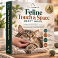The Feline Touch Map & Space Safety Blueprint